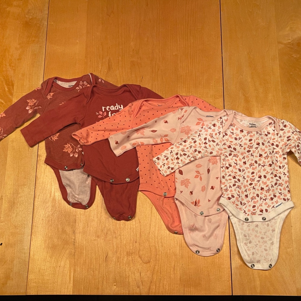 Bodysuit Fall Theme Newborn Gerber Pink, Brown set